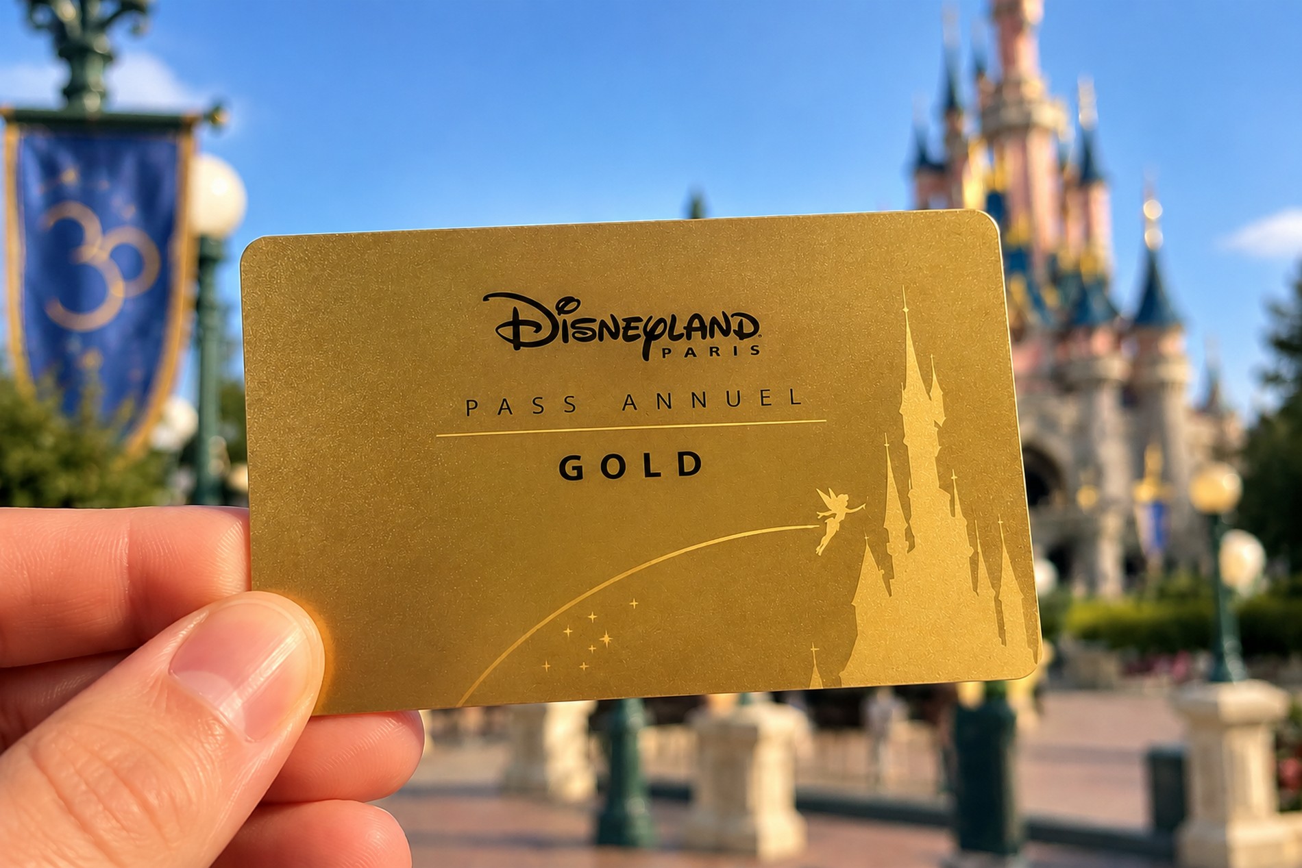 carte pass annuel Gold